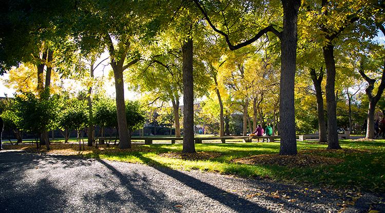 A fall afternoon on Auraria Campus.